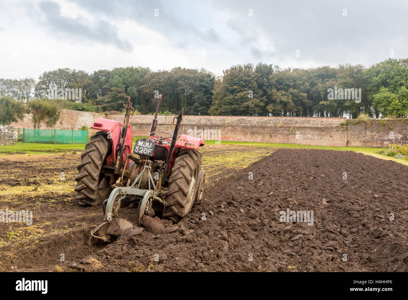 Il vecchio trattore Massey Ferguson 135 con aratro arrestato dopo arando un appezzamento. Foto Stock