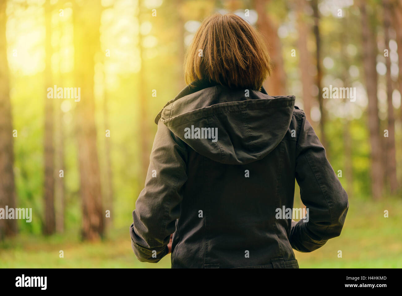 Vista posteriore del casual donna guardando il sole del mattino attraverso gli alberi autunno park o la foresta, la donna in caduta stagione ambiente sce Foto Stock