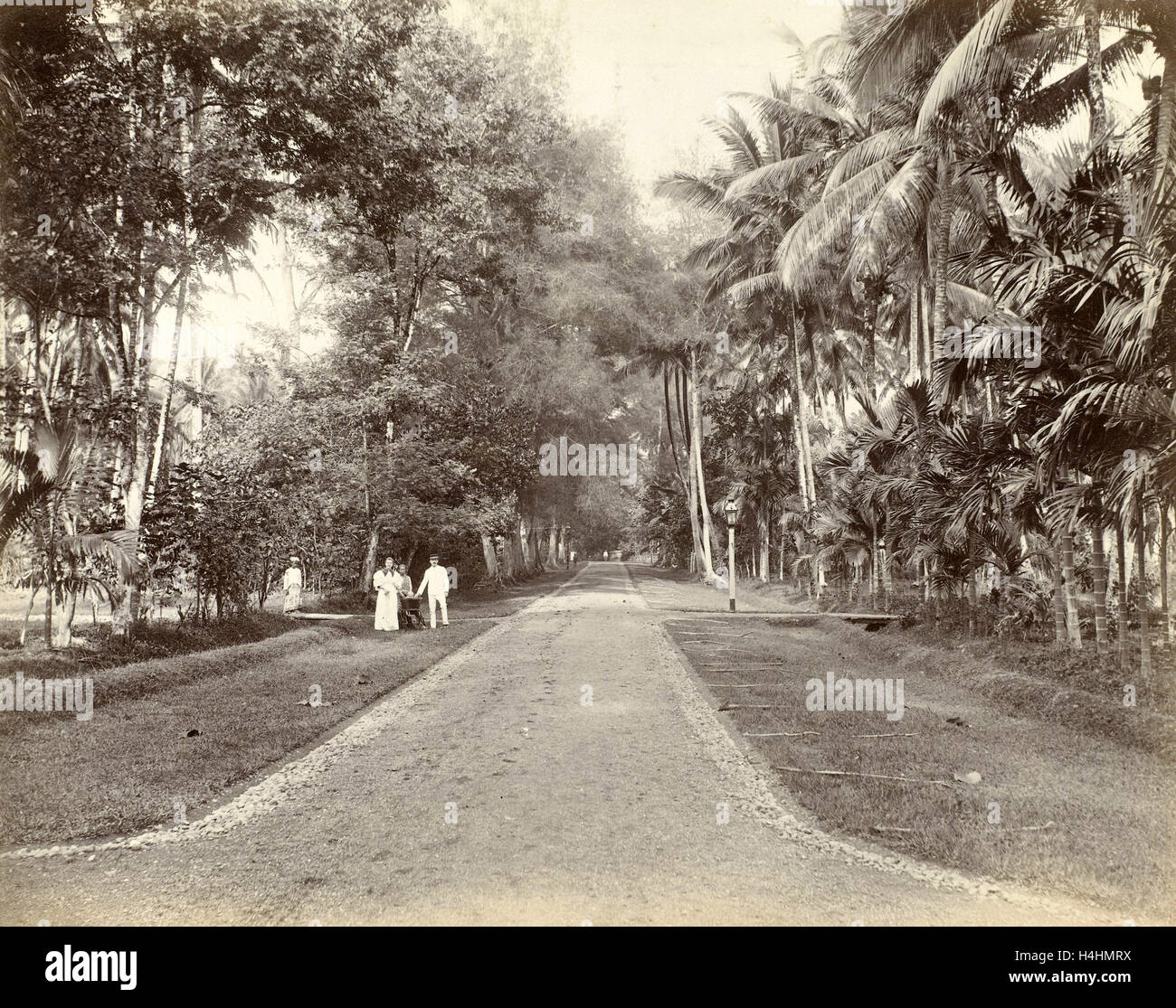 Europei e Indiani lungo un viale nelle Indie orientali olandesi, anonimo, c. 1895 - c. 1905 Foto Stock
