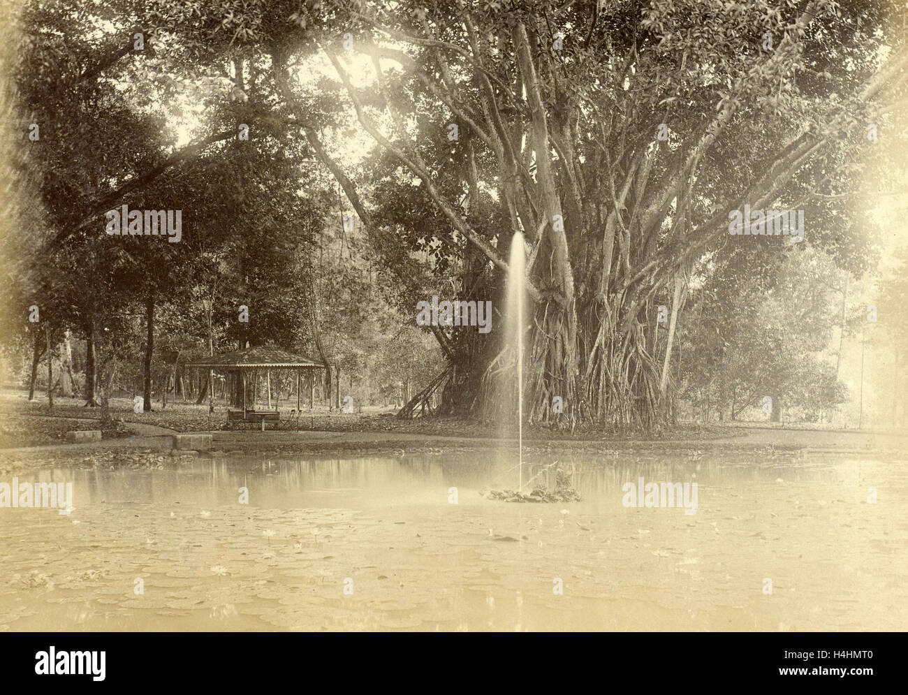 Parco con un laghetto con un grande albero nelle Indie orientali olandesi, anonimo, c. 1895 - c. 1905 Foto Stock