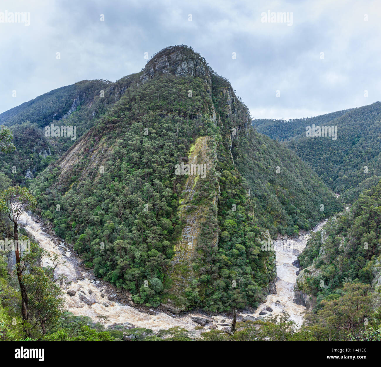 Leven Canyon ed il fiume in Tasmania, Australia Foto Stock