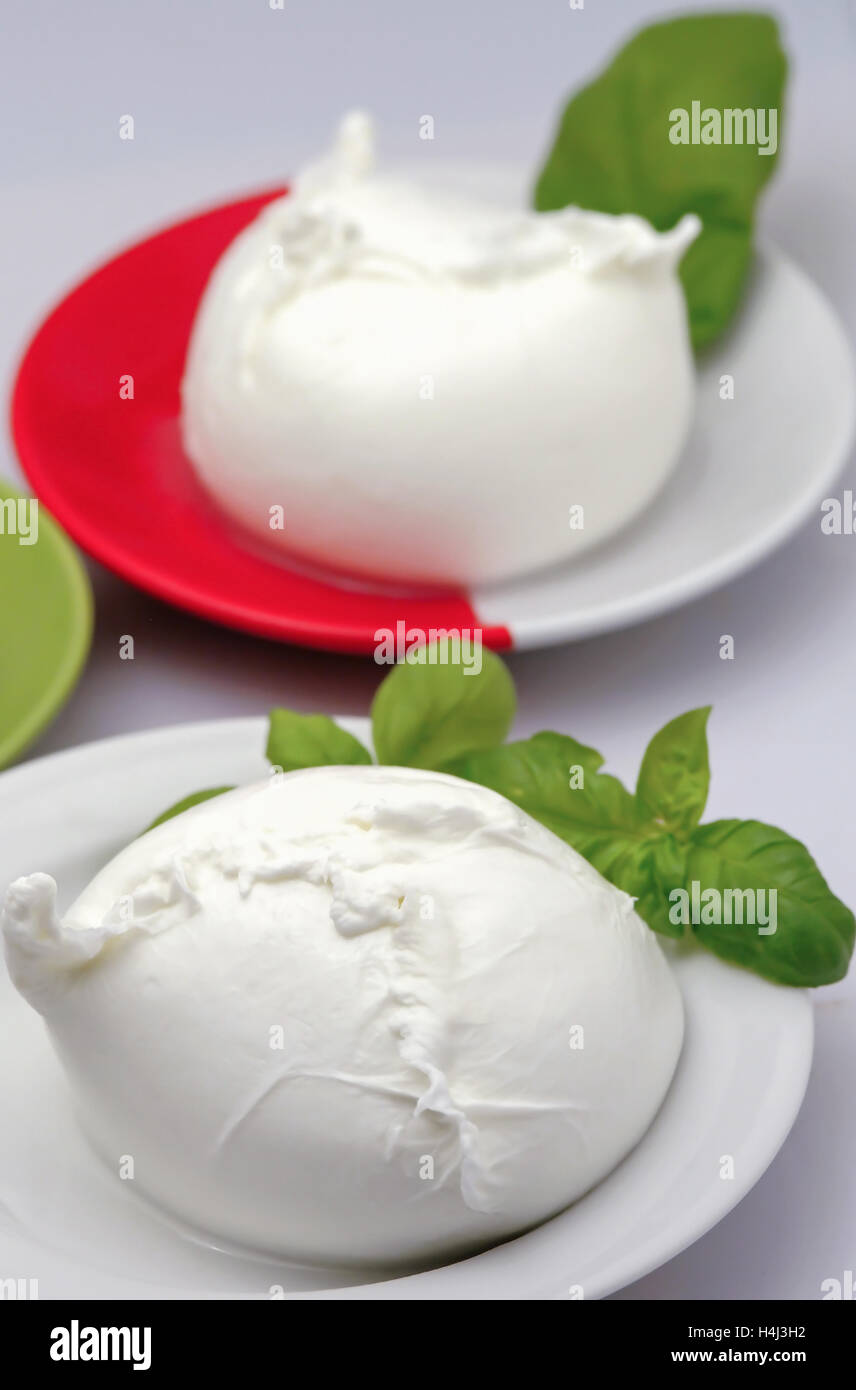 Italiani freschi mozzarella di bufala Foto Stock