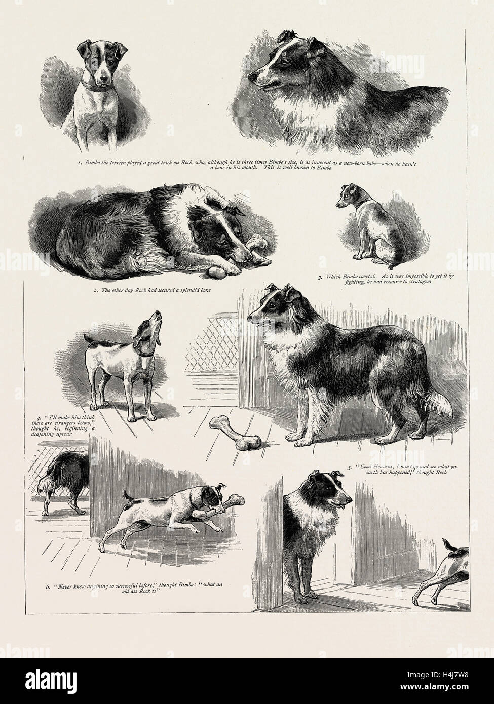 La storia di un abile terrier di stratagemma, 1889 Foto Stock