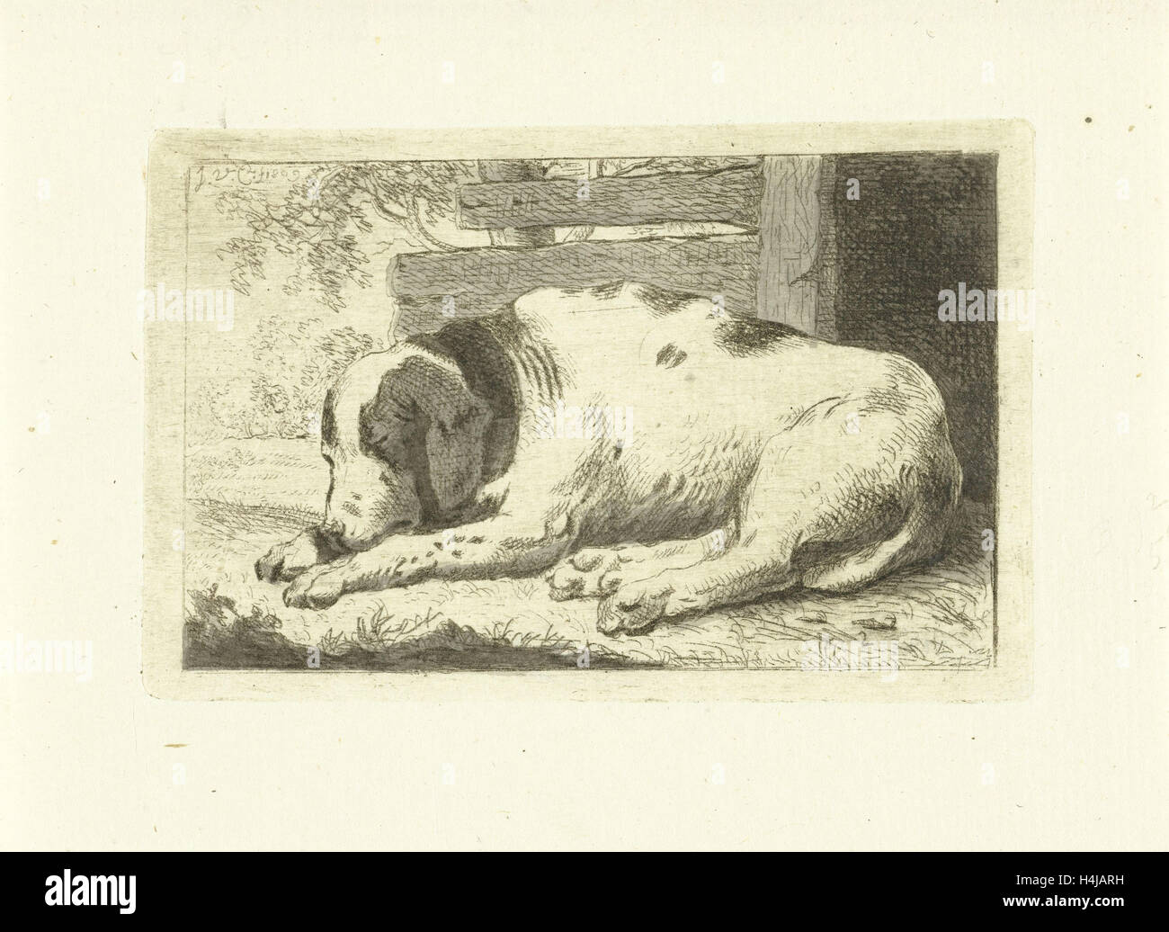 Cane a pelo, Johannes van Cuylenburgh, 1809 Foto Stock