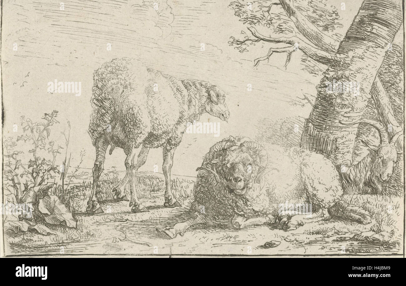 Due pecore e una capra, Barend Graat, 1638 - 1709 Foto Stock