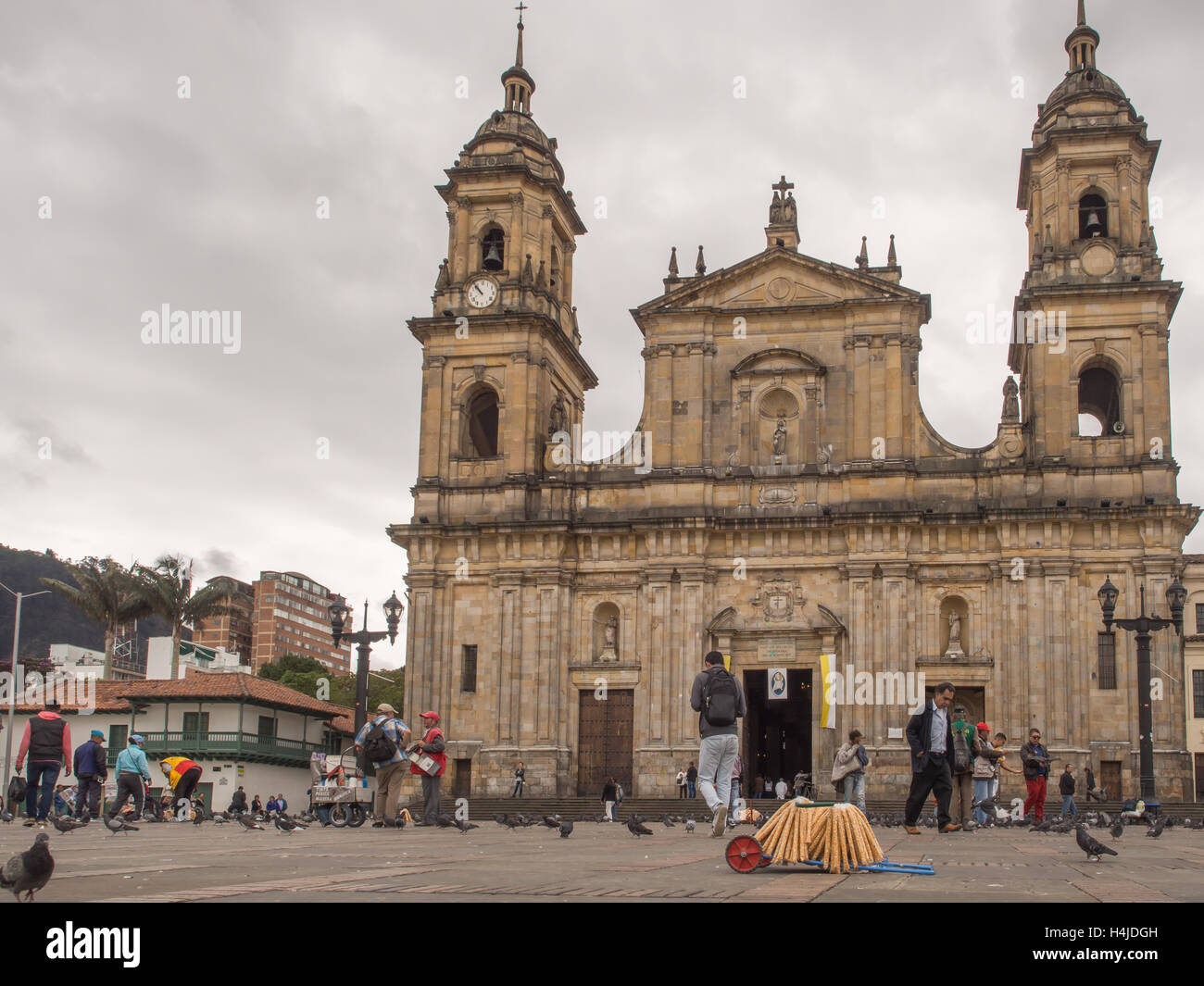 Bogotà, Colombia - 30 Aprile 2016: i piccioni viaggiatori e turisti sulla Piazza Bolivar di Bogotà Foto Stock