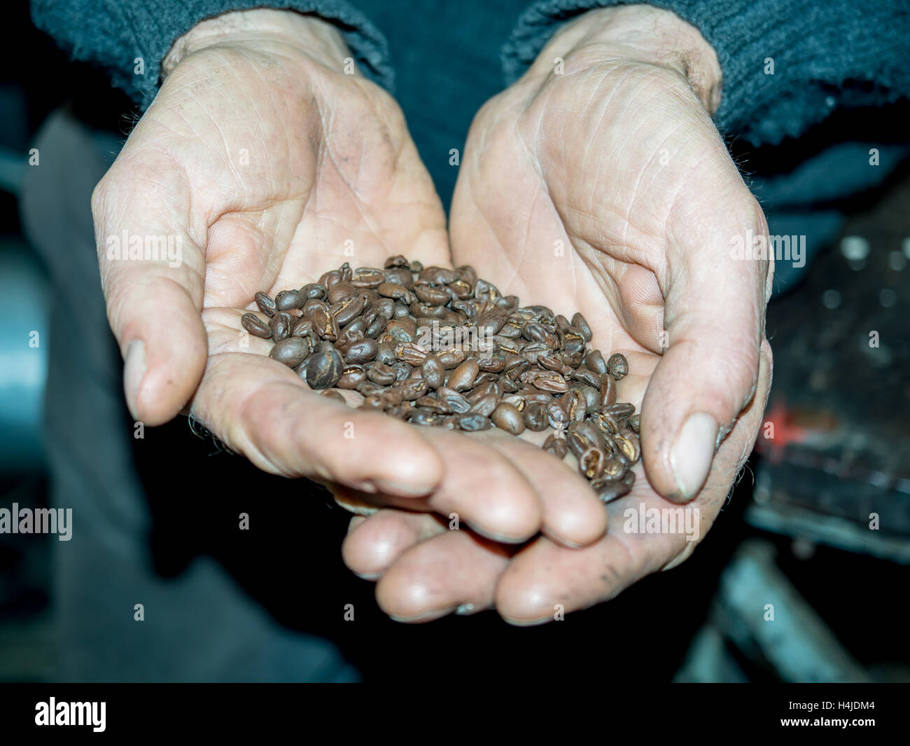 I fagioli neri di caffè torrefatto sono pronti per la vendita Foto Stock