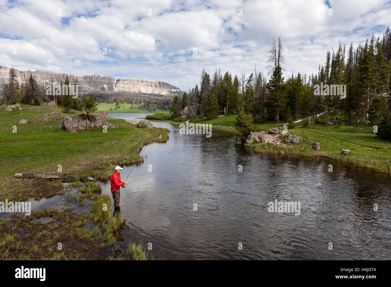 WY01057-00...WYOMING - Thomas Barry pesca Lago Brooks Creek nei pressi di Dubois. (MR# B17) Foto Stock