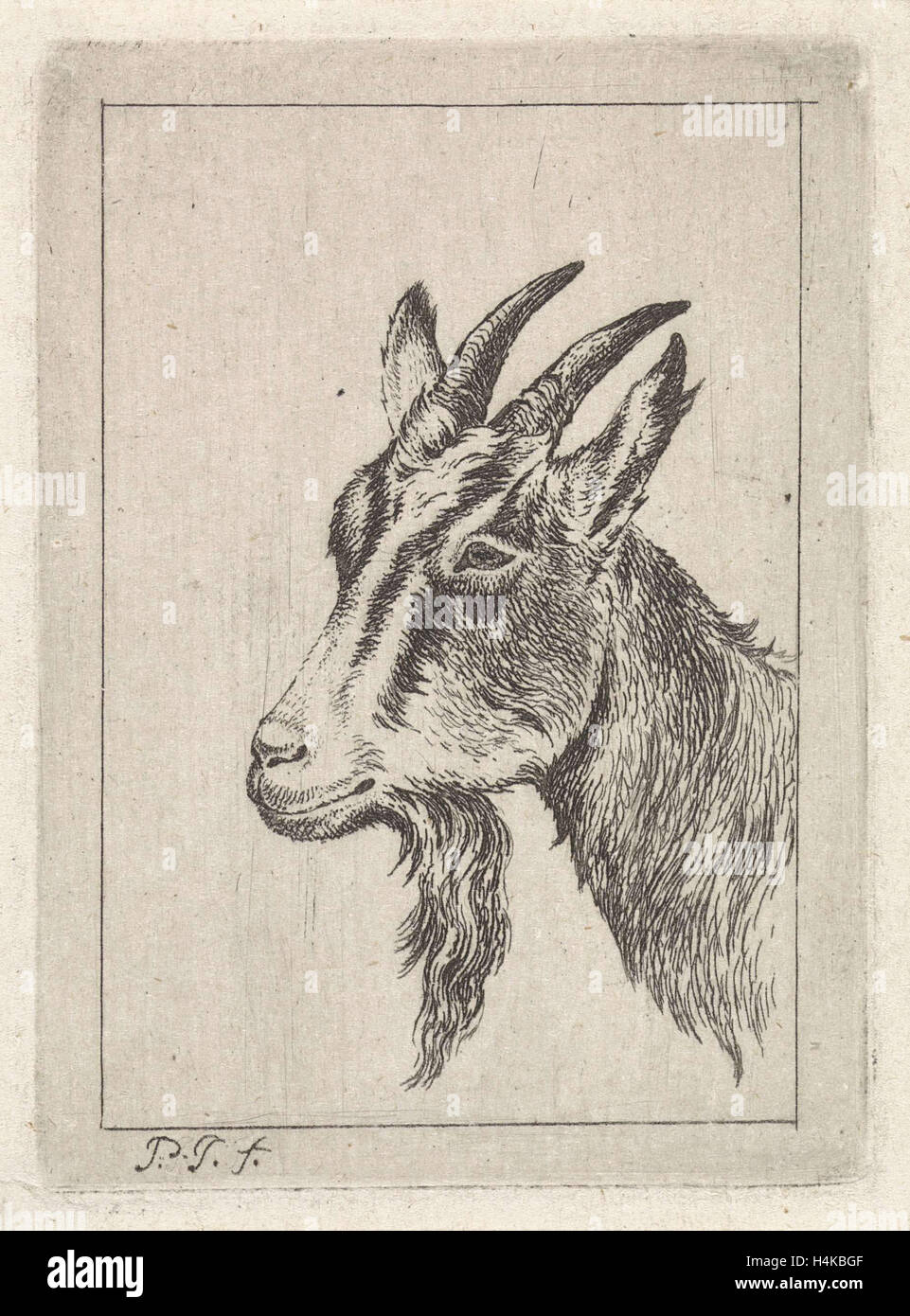 Testa di capre, Pieter Janson, 1780 - 1851 Foto Stock