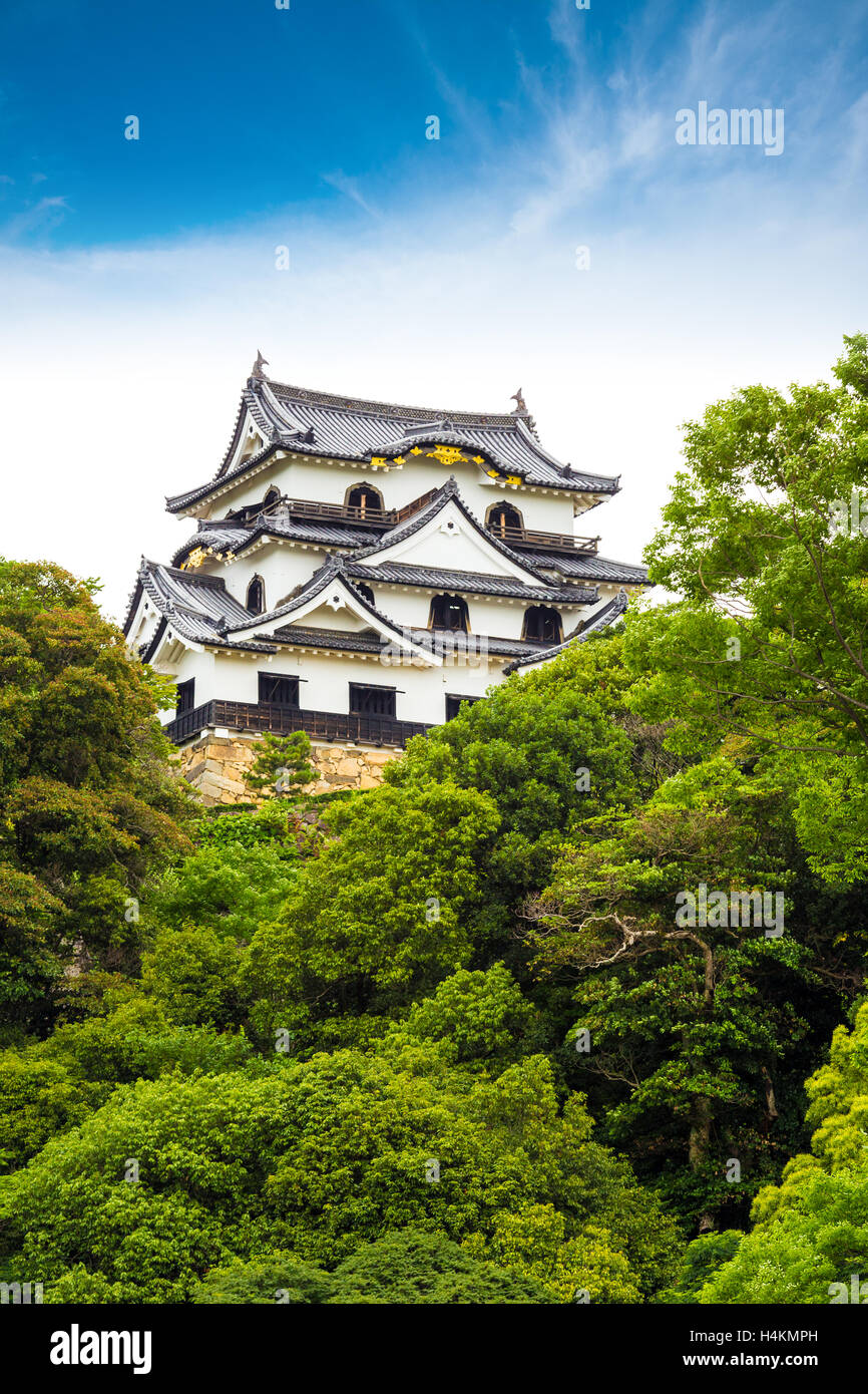 Alberi oscurano parzialmente la conserva di Hikone-jo il Castello, uno del Giappone del originale intatto dodici castelli su una chiara, sole, cielo blu Foto Stock