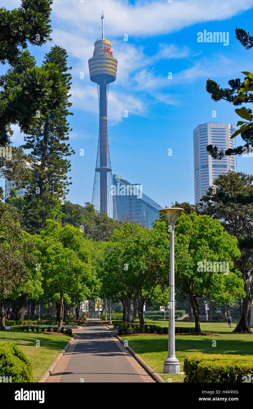 Sydney centrepoint tower nel CBD di Sydney, vista attraverso Hyde Park in una giornata di sole Foto Stock