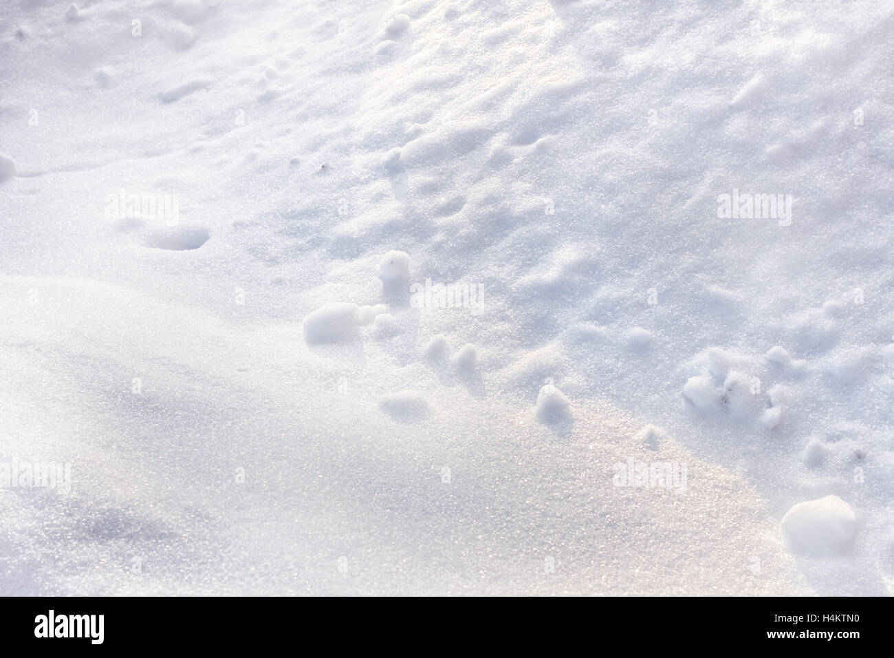 Texture di bianco della neve nella luminosa giornata invernale Foto Stock