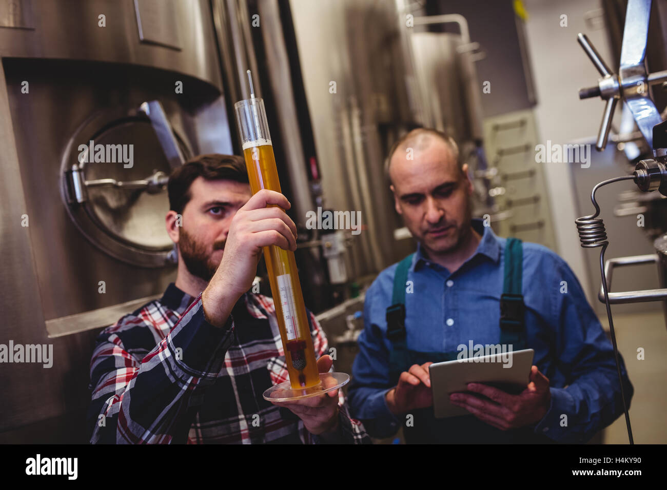 Proprietario di ispezionare la birra nel tubo alla birreria Foto Stock