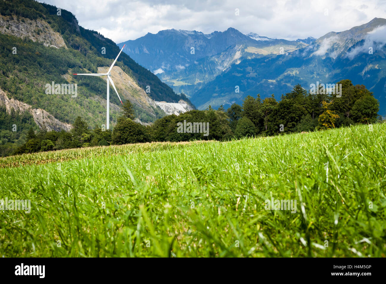 Verde prato con turbine eoliche che generano elettricità in montagna Foto Stock