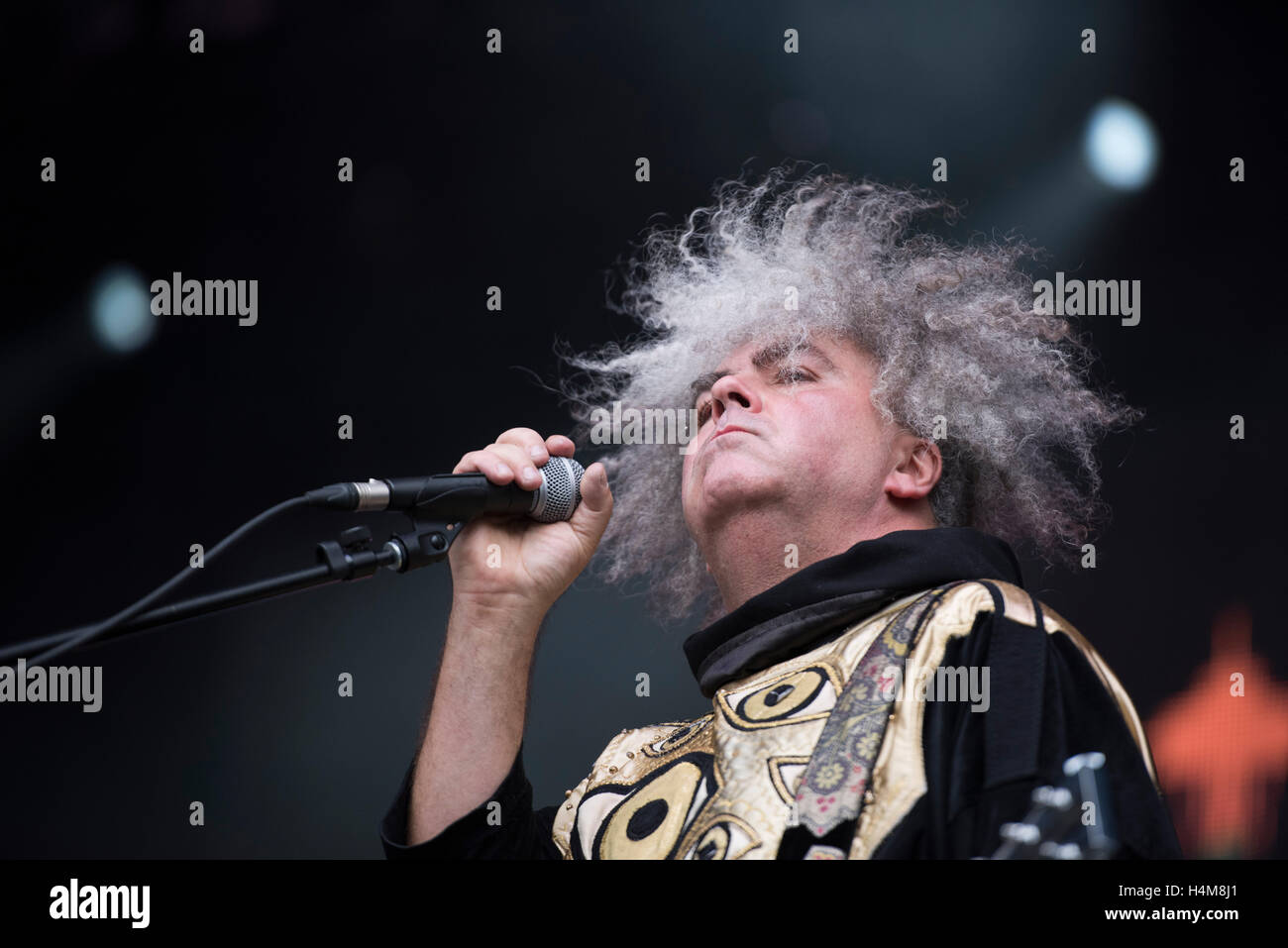 Roger Osborne del Melvins eseguire a Bumbershoot Festival il 5 settembre 2015 a Seattle, Washington. Foto Stock