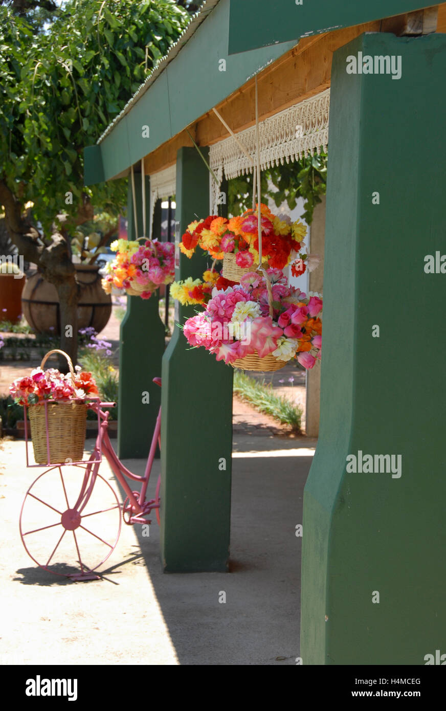 Appendere decorazioni floreali e filo di bicicletta, Parys, Sud Africa Foto Stock