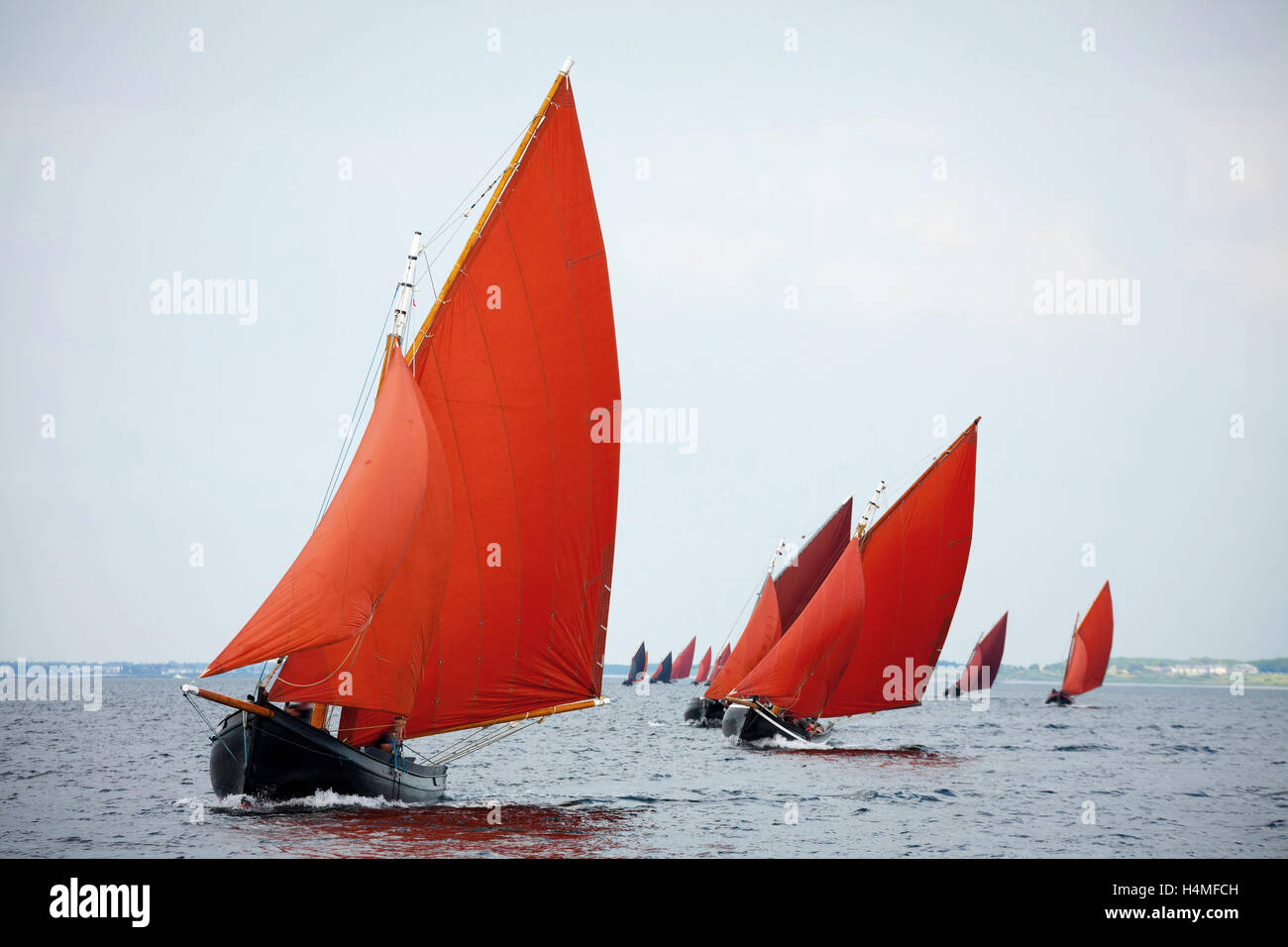 Barca di legno tradizionale Galway Hooker, con il red sail, competere in regata. L'Irlanda. Foto Stock