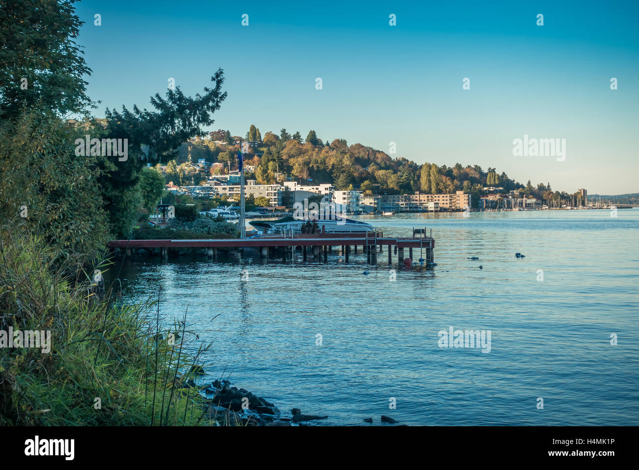 Il litorale del Lago Washington vicino Seattle. Foto Stock