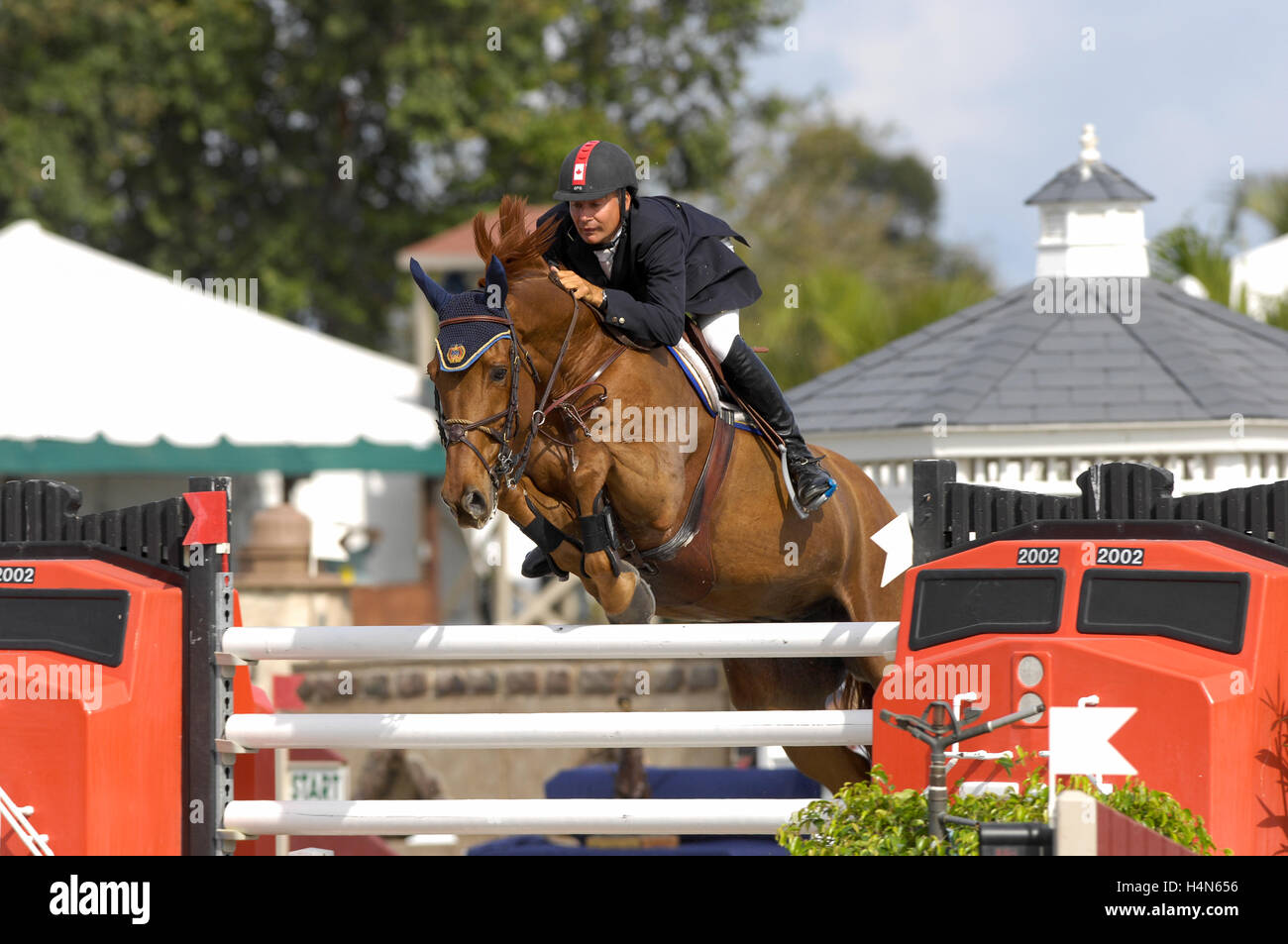 Mario Deslaiuriers (CAN) paradigma di equitazione, Winter Festival equestre, Wellington Florida, marzo 2007, U.S. Aprire il ponticello Champions Foto Stock