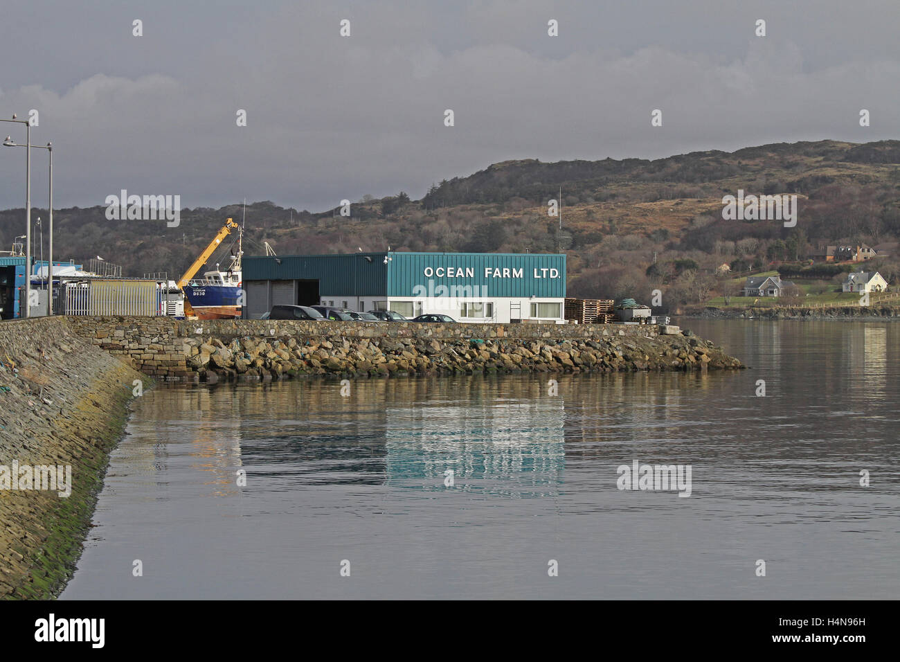 Ocean Farm locali a Killybegs, County Donegal, Irlanda. Foto Stock