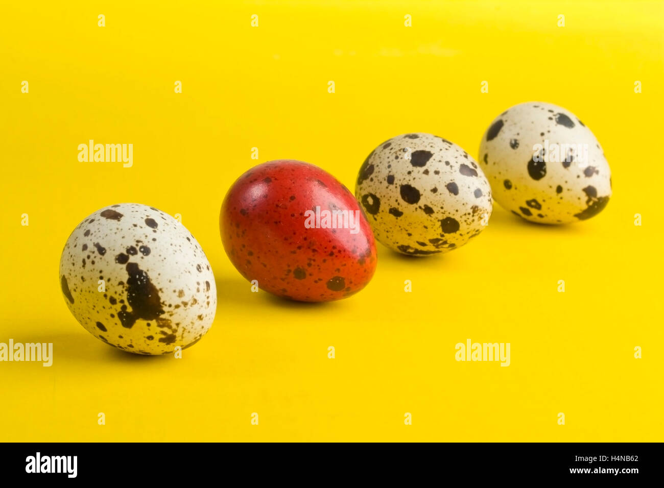 Uova colorate con una diversa su sfondo giallo con ombra Foto Stock