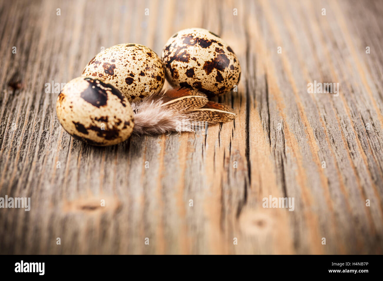 Tre uova di quaglia su rustico sfondo di legno Foto Stock