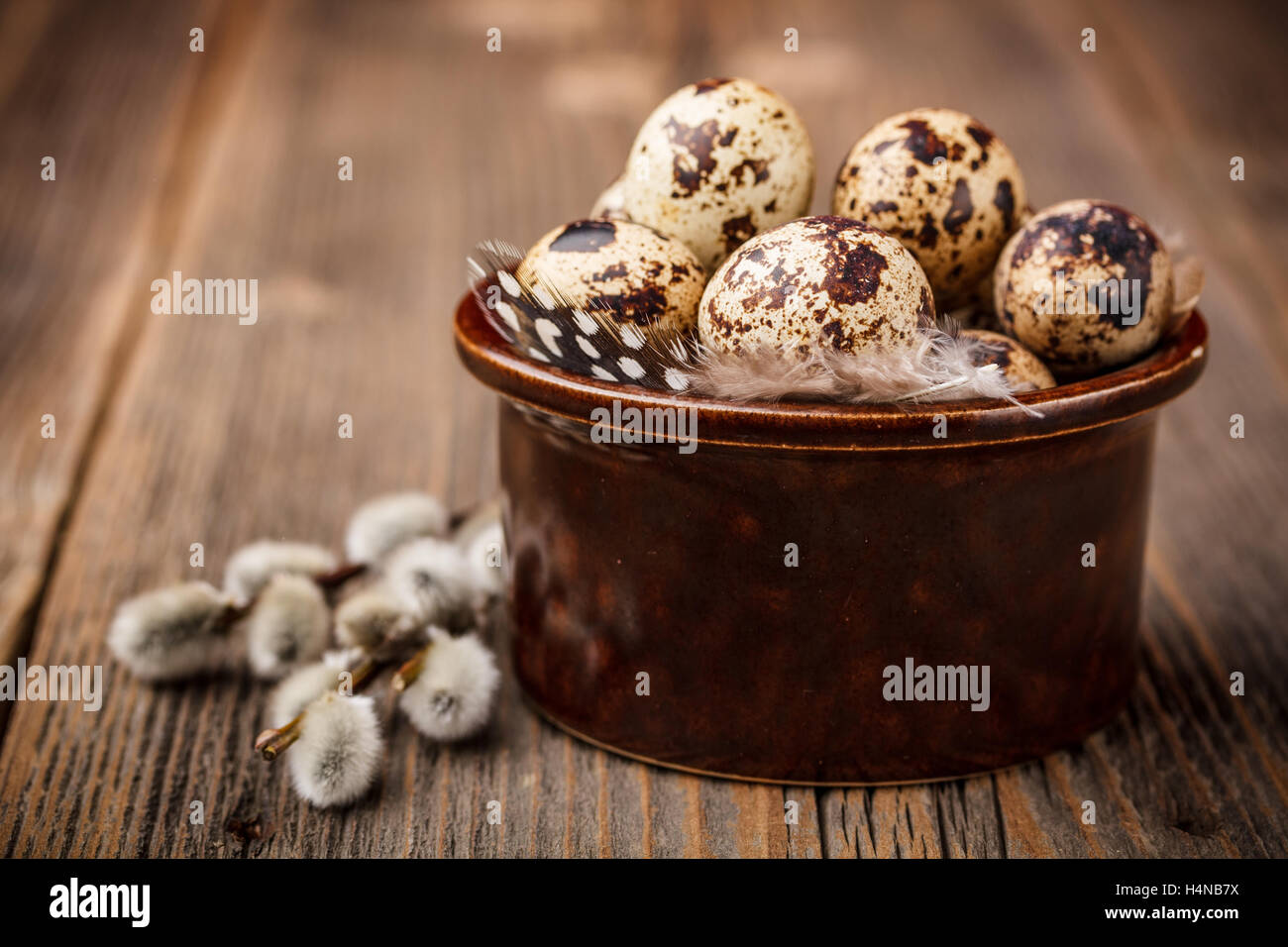 Uova di quaglia e i rami di salici rustico sfondo di legno Foto Stock