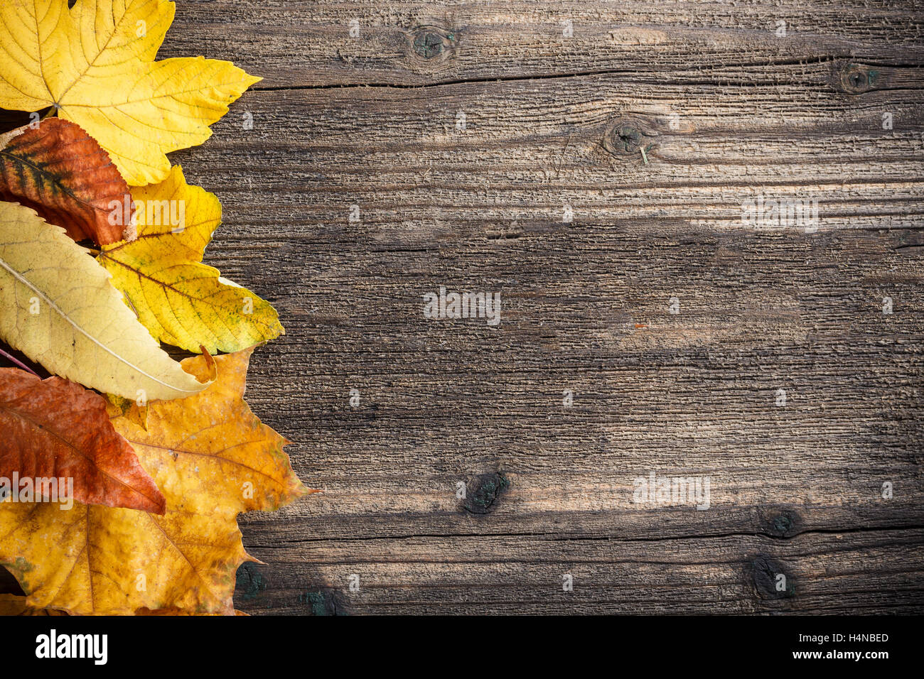 Foglie di autunno su sfondo di legno con spazio di copia Foto Stock