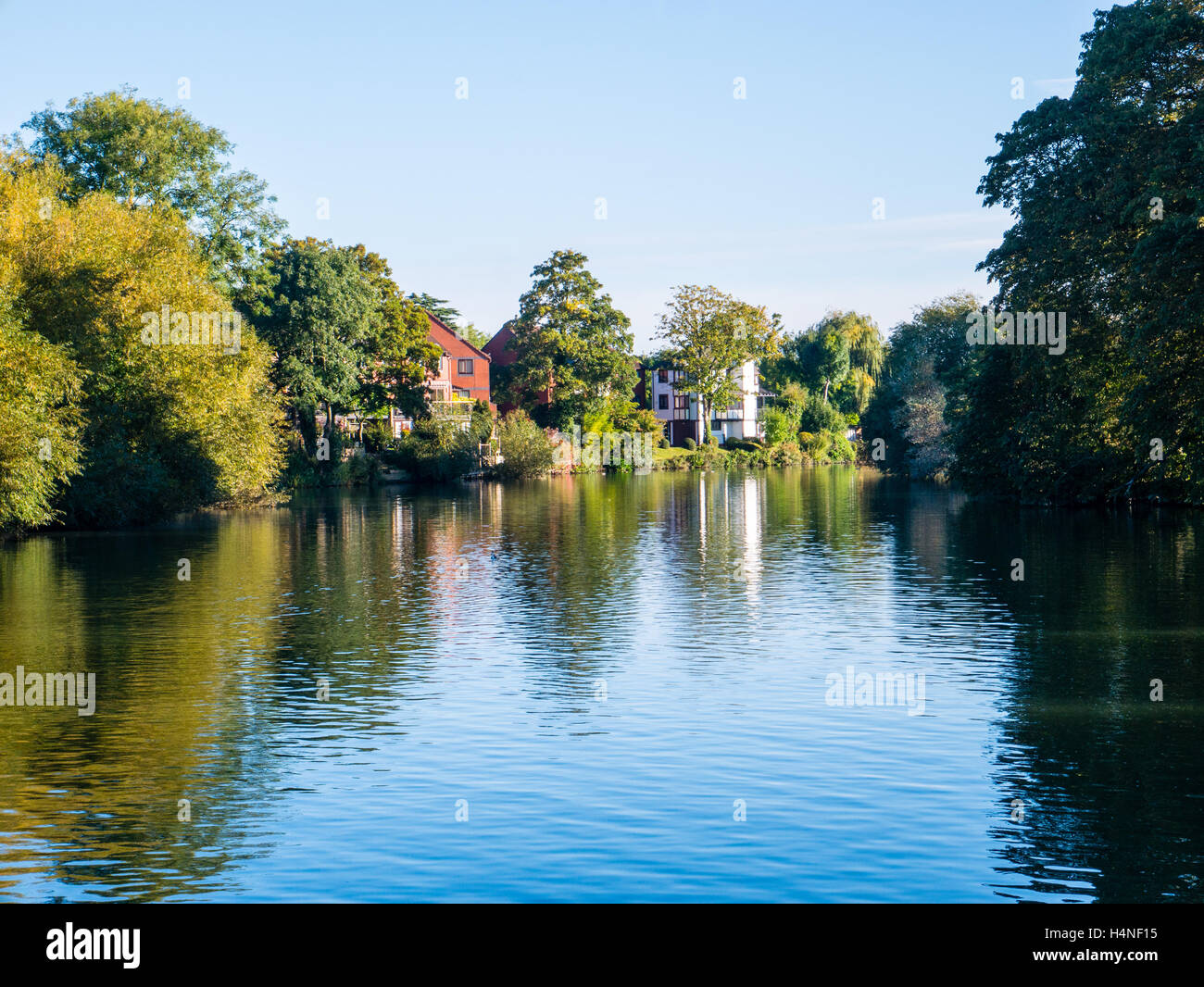 Il fiume Tamigi, Kings Meadows, Parco, Reading, Berkshire, Inghilterra, Regno Unito, GB. Foto Stock
