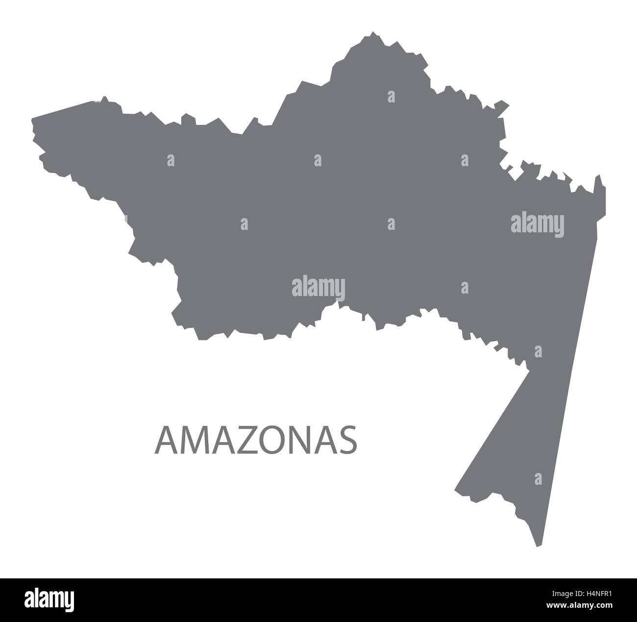 Amazonas mappa Colombia in grigio Illustrazione Vettoriale