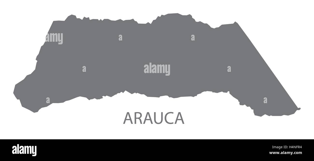 Arauca Colombia mappa in grigio Illustrazione Vettoriale