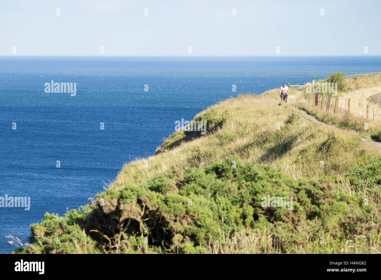 Dog walker sul modo di Cleveland sentiero costiero su alcune delle più alte falesie in Inghilterra nelle vicinanze del Saltburn, Yorkshire. Regno Unito Foto Stock