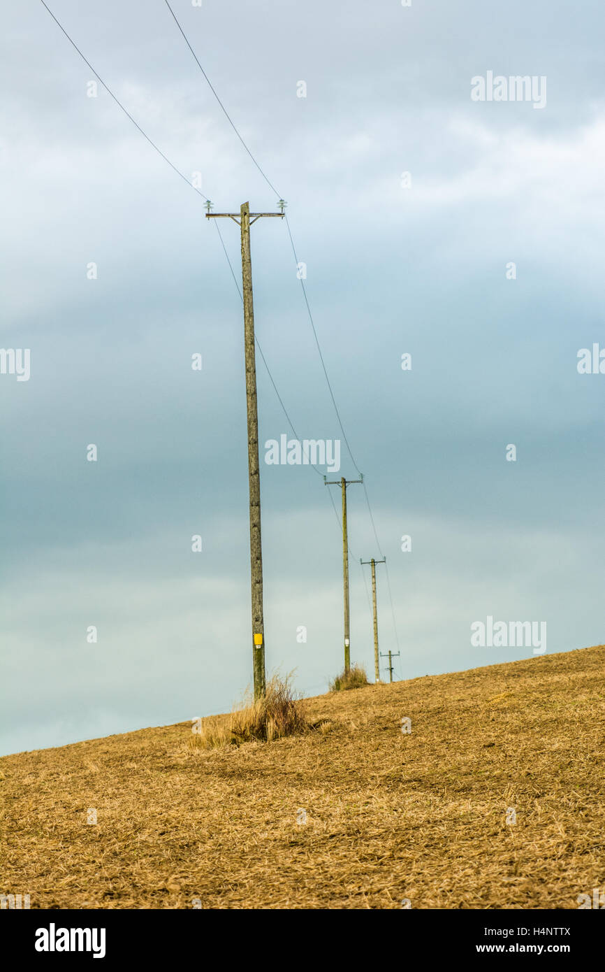 Le linee elettriche di alimentazione eseguite su pali telefonici attraverso un campo Foto Stock