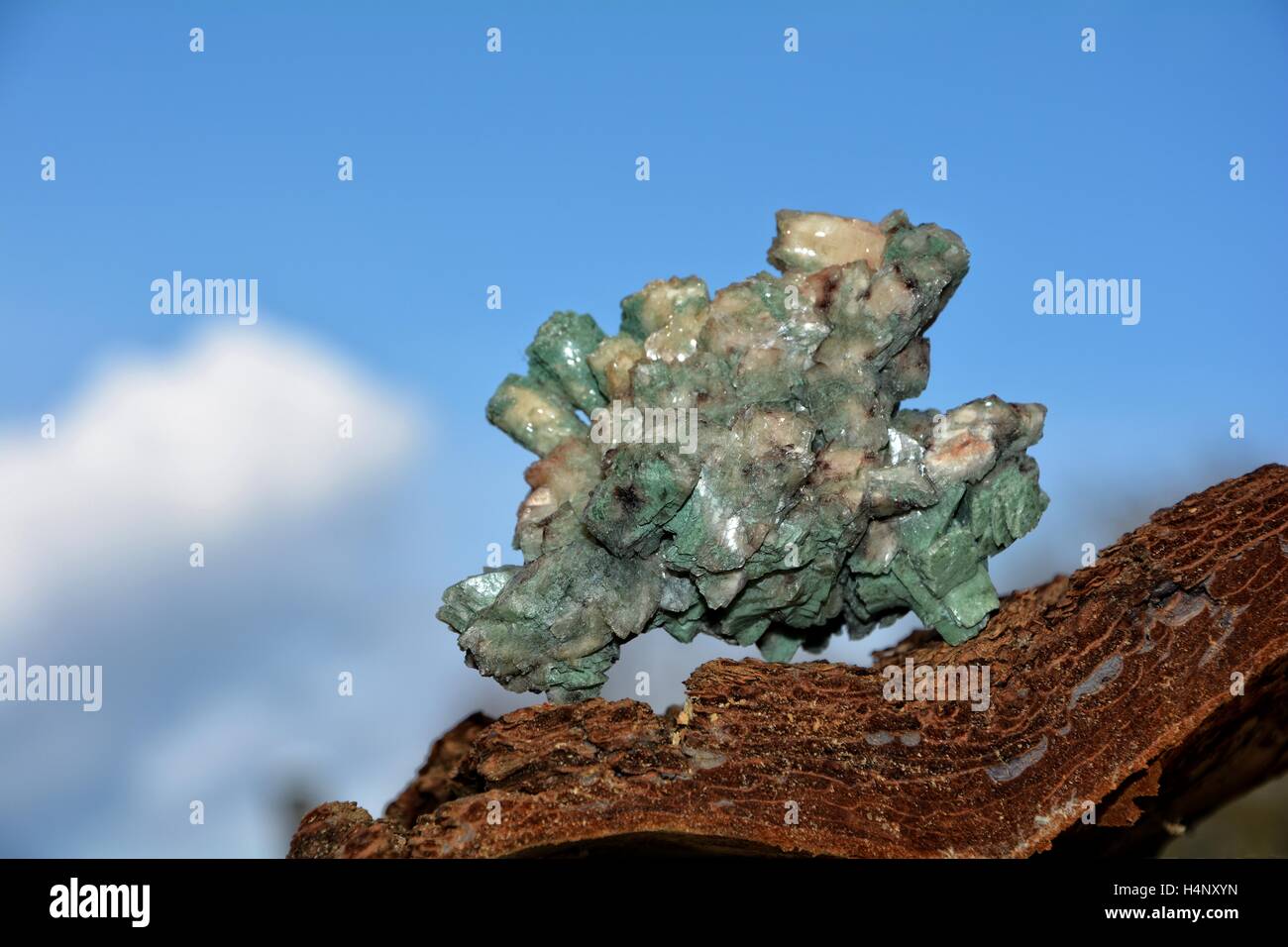 Minerali verde pietra sulla corteccia di albero contro un cielo blu Foto Stock