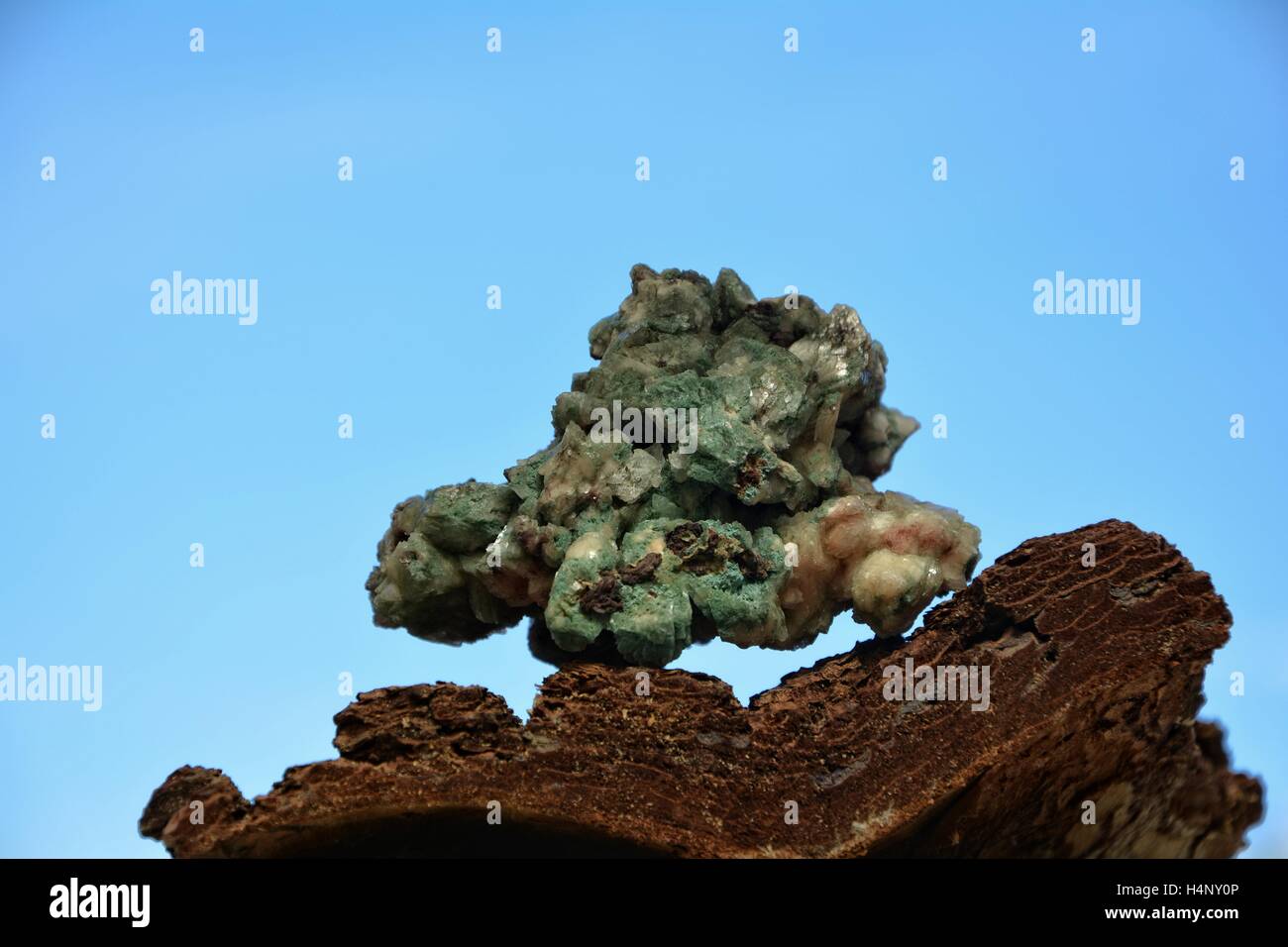 Verde di minerali di quarzo pietra sulla corteccia di albero contro un cielo blu Foto Stock