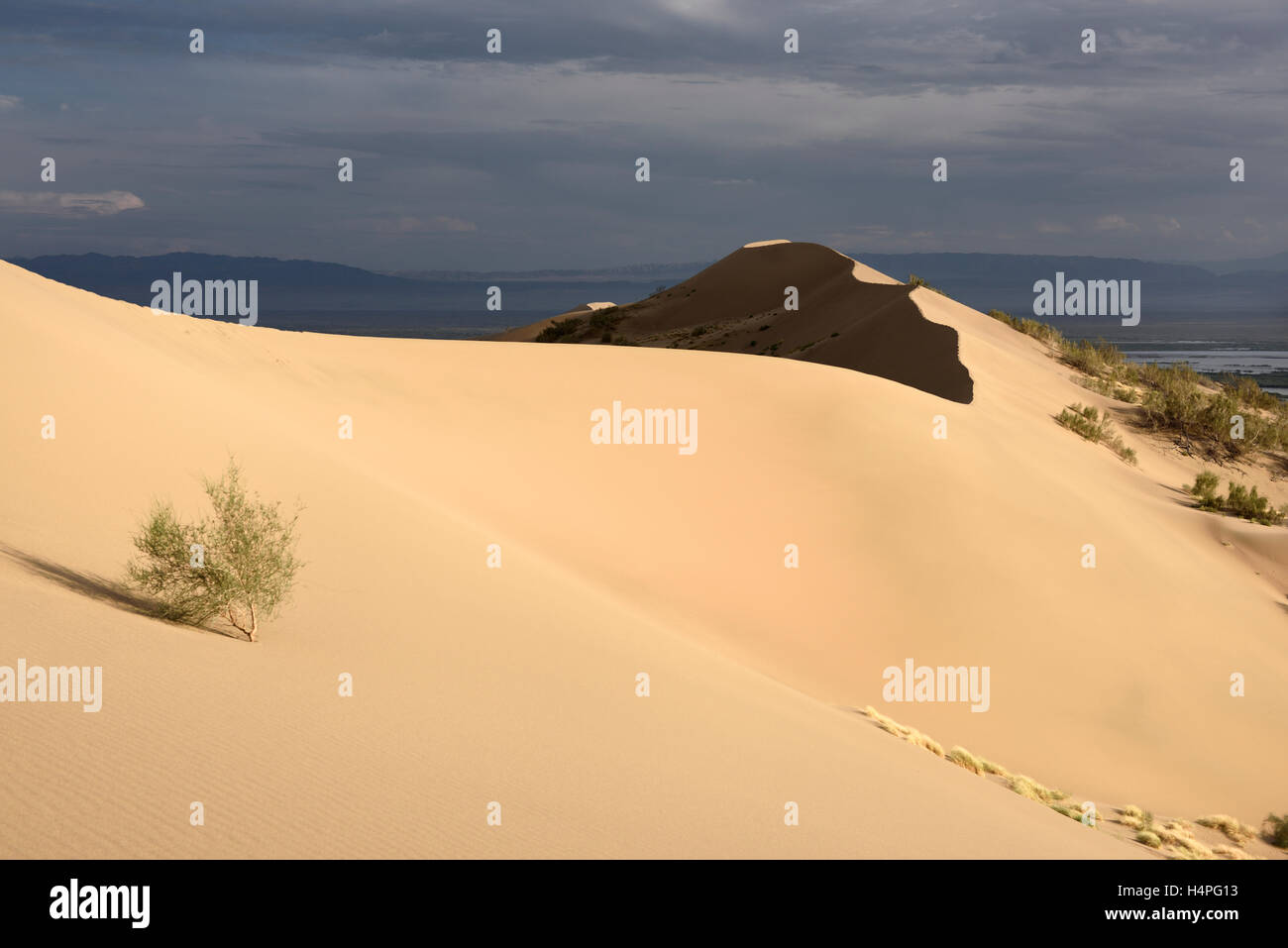 Dune di oro a cantare duna di sabbia Altyn Emel Park con il fiume Ili e violetta montagne Kazakistan Foto Stock