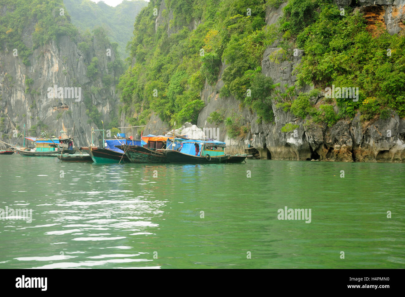 Un certo numero di barche di legno ormeggiate insieme a Vinh Ha Long o la baia di Halong in Vietnam in un giorno nuvoloso. Foto Stock
