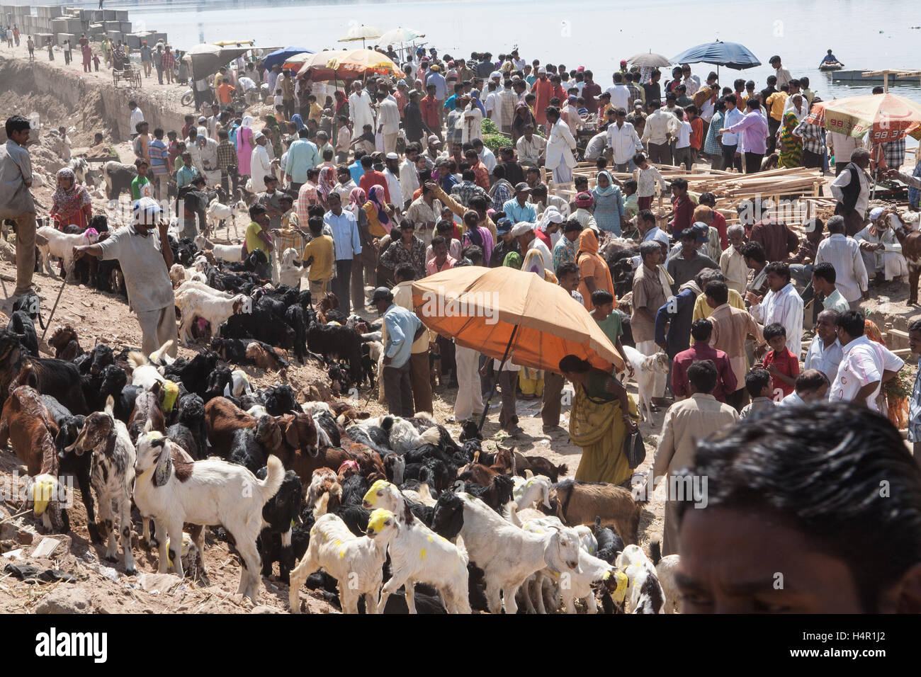 Locali la domenica mercato,Gujari Bazaar e il Mercato delle pulci sulla banca del fiume Sabarmarti nel centro di Ahmedabad,Gujurat,l'India,l'Asia, Foto Stock