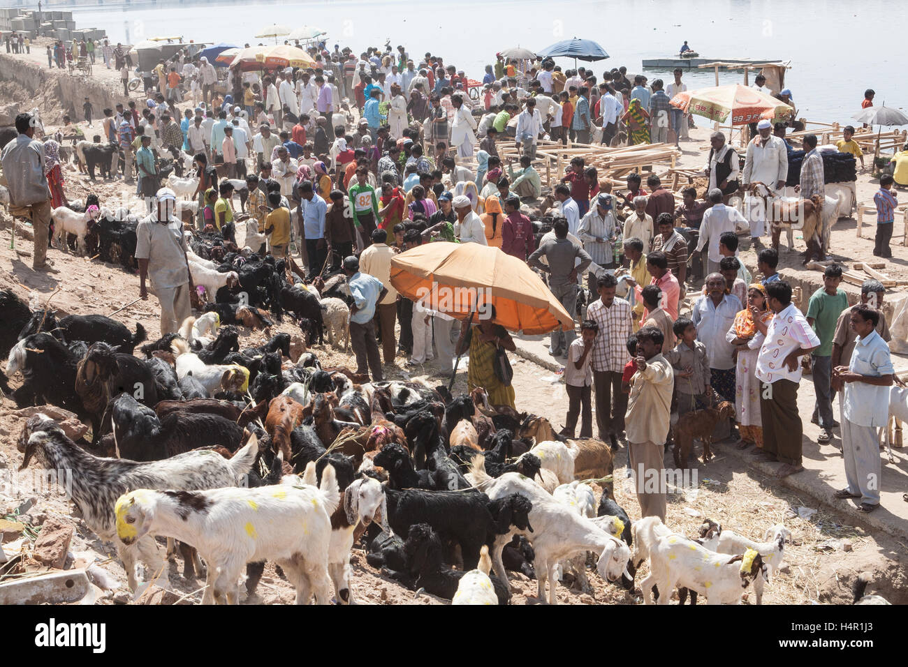 Locali la domenica mercato,Gujari Bazaar e il Mercato delle pulci sulla banca del fiume Sabarmarti nel centro di Ahmedabad,Gujurat,l'India,l'Asia, Foto Stock