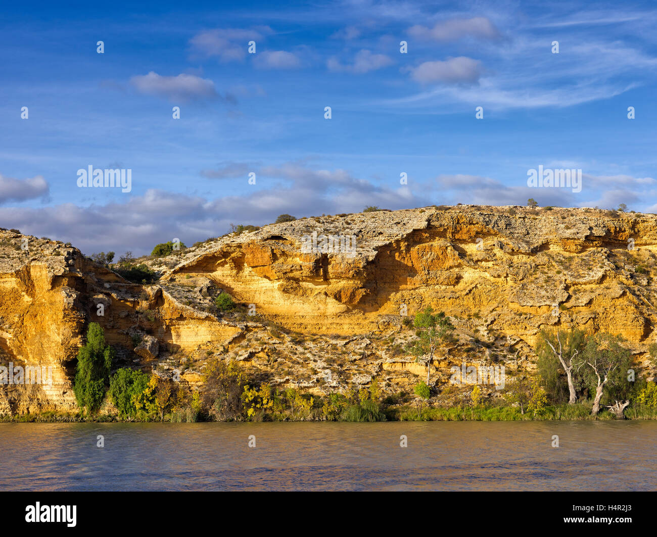 Banca di fiume, il fiume Murray, Walker Flat Sud Australia Foto Stock