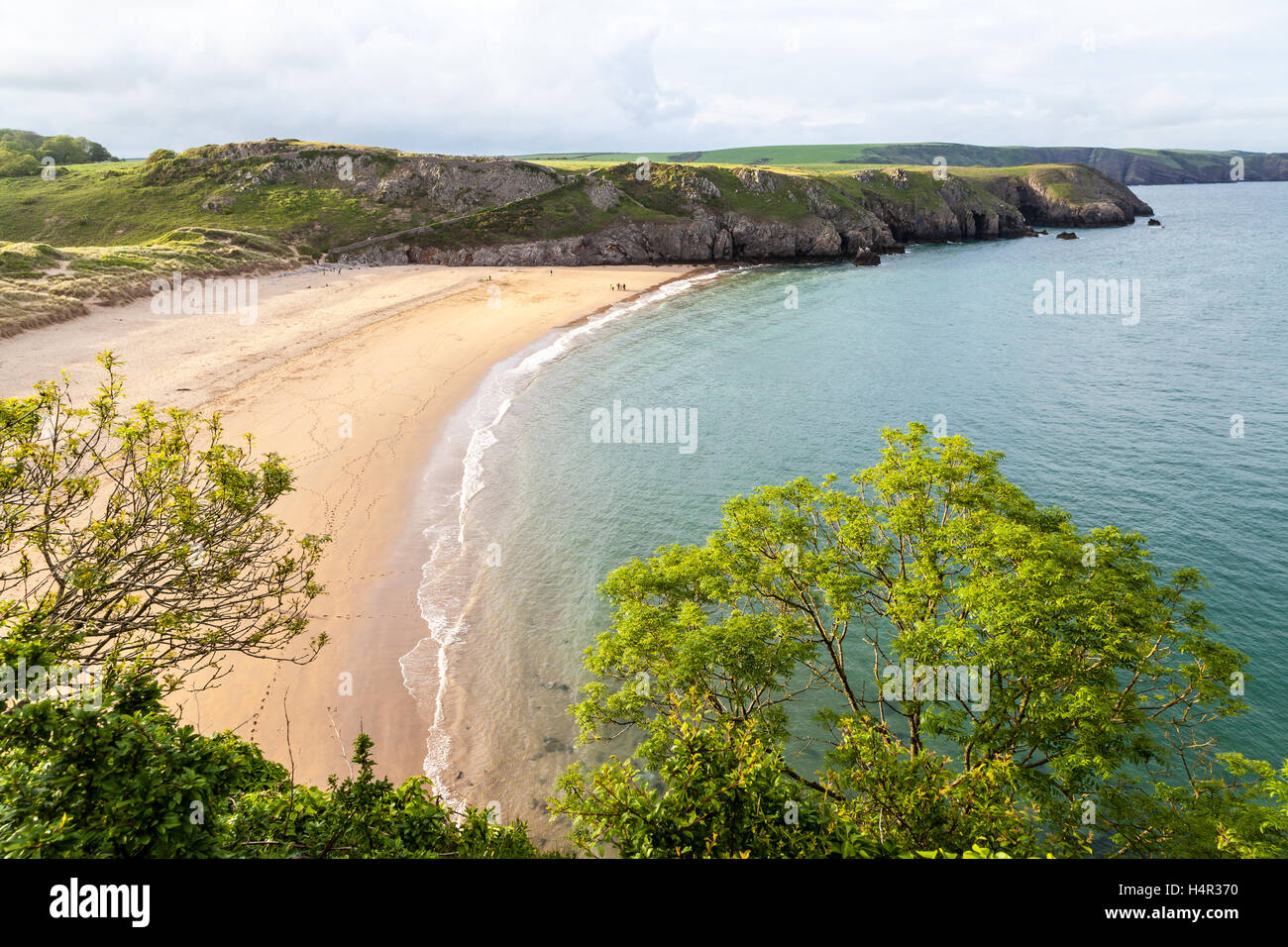 Barafundle Bay in Pembrokeshire Foto Stock