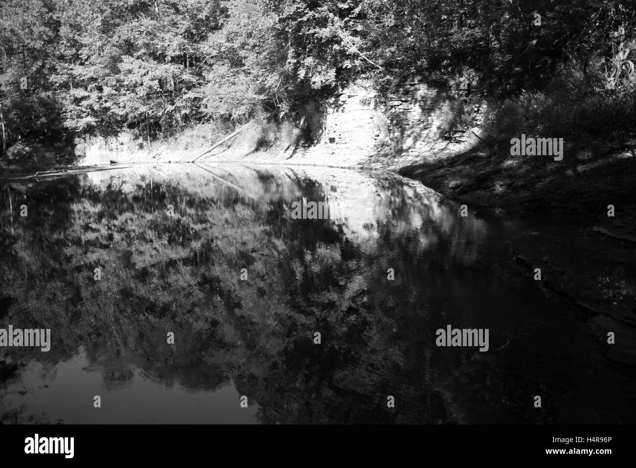 Le riflessioni di natura e la bellezza del titolare dell'occhio. Foto Stock