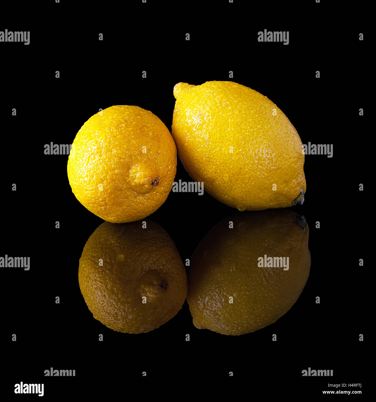 Due limone con gocce d'acqua isolate su un lucido nero con sfondo realistica Foto Stock