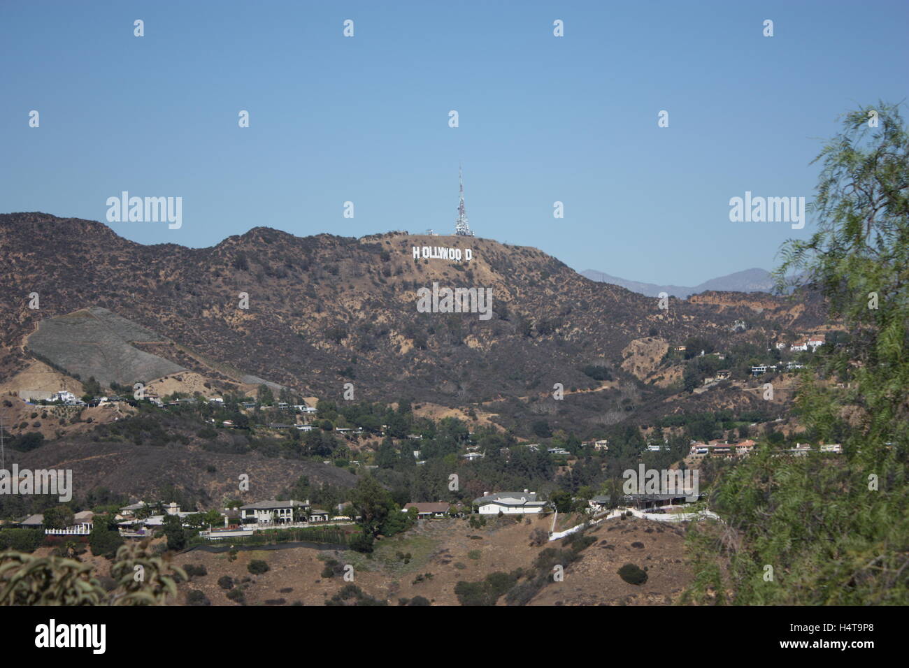 Sulle colline di Hollywood da una distanza a Los Angeles / LA Foto Stock