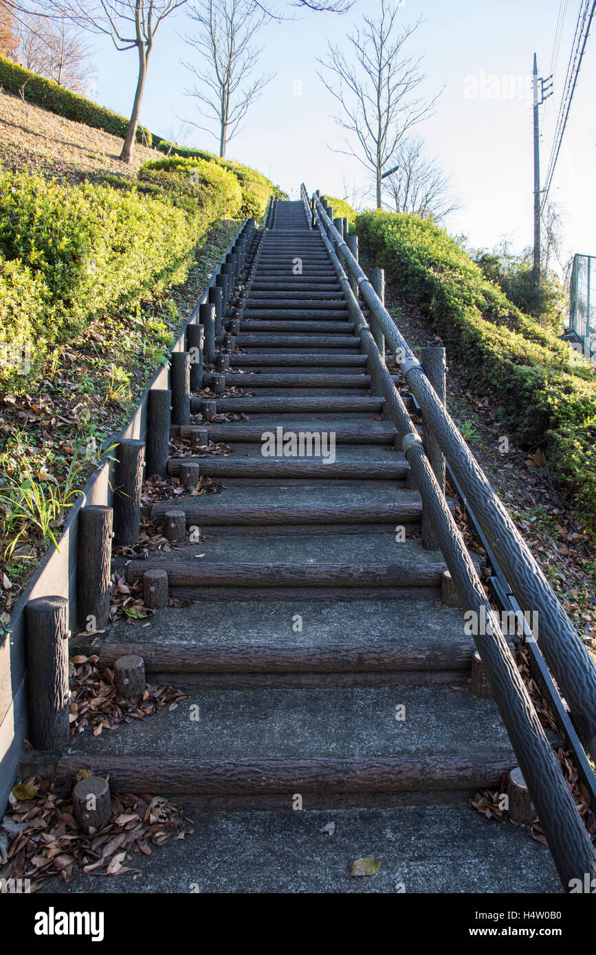 Panorama Hill, Tama City, Tokyo, Giappone Foto Stock