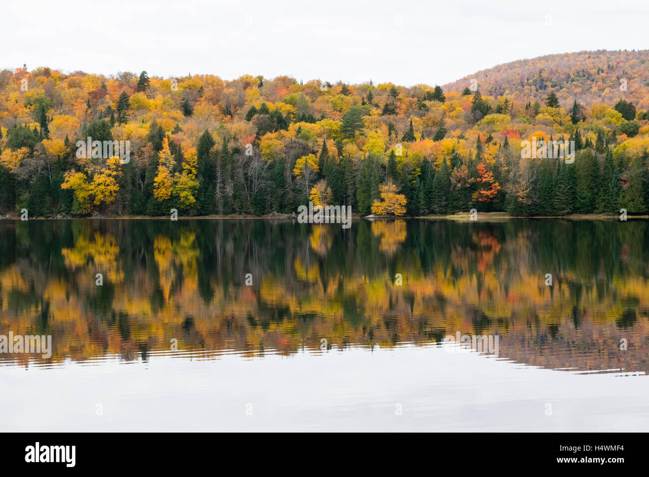 Autunno riflessioni in un lago Laurenziana. Foto Stock