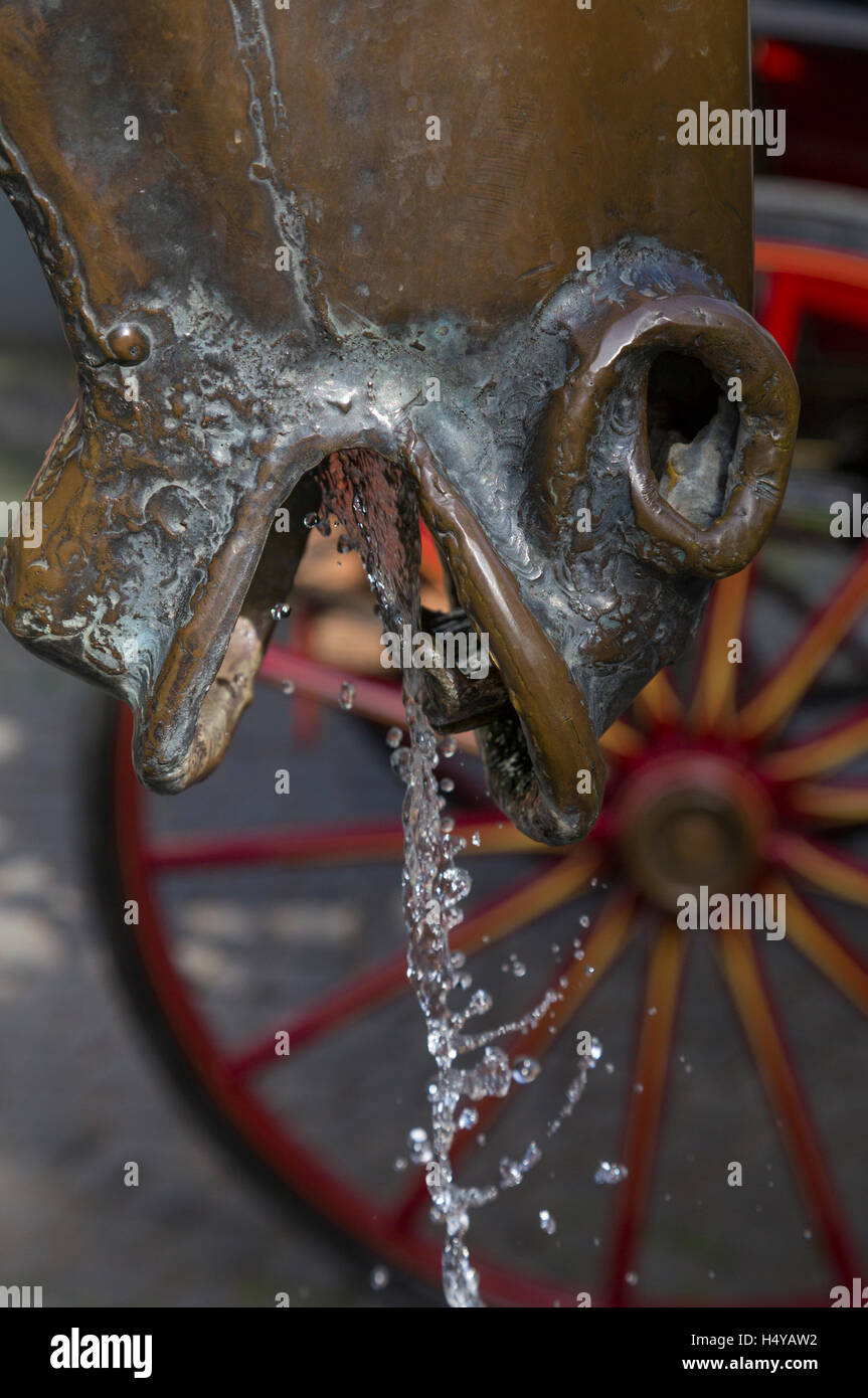 Testa di cavallo fontana potabile, Bruges, Belgio Foto Stock
