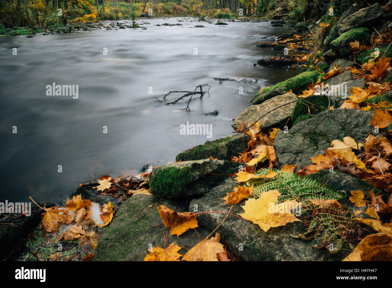 Primo piano sulla colorata e pietroso riverside da autunno, una lunga esposizione immagine Foto Stock