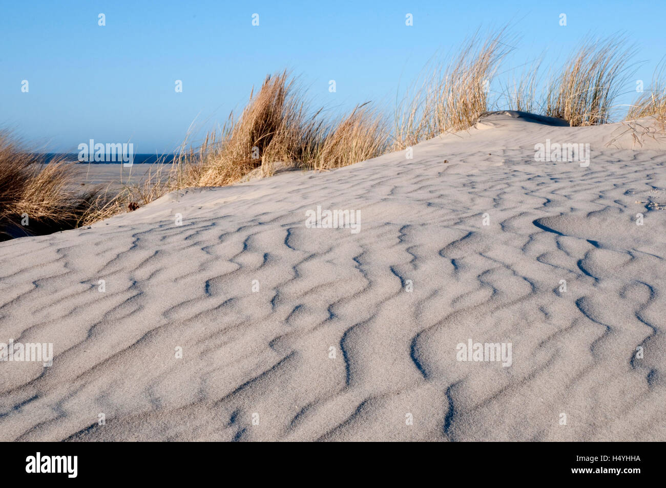 Dune di sabbia sulla spiaggia, Spiekeroog island, Mare del Nord, Bassa Sassonia Foto Stock