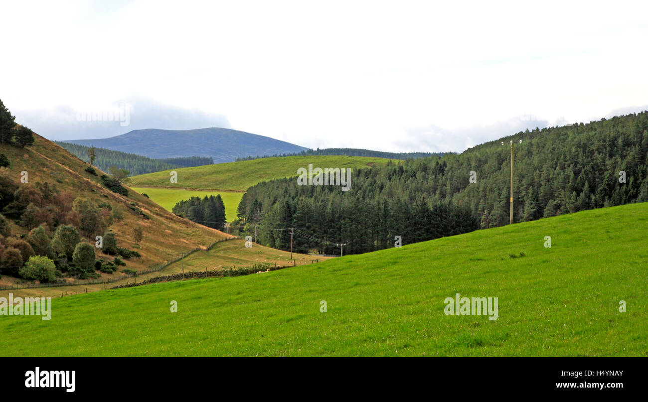 Una vista di colline ondulate in corrispondenza del bordo del Grampian Mountains al Glen Buchat, Aberdeenshire, Scotland, Regno Unito. Foto Stock